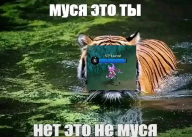 Чуть-чуть перепутал... роль... турнир... 😁