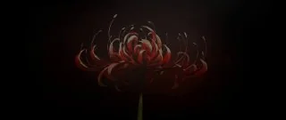 (пост без текста)