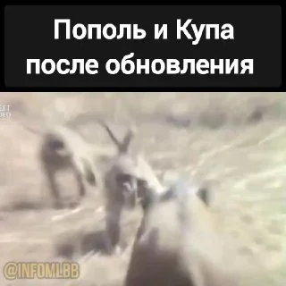 ☄️ СРОЧНЫЕ НОВОСТИ В обновленной версии второго навыка Пополь может ездить на Купе всего 1 секунду (не может атаковать противника). Остальные навыки остаются теми же.