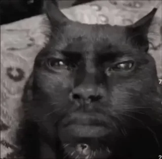 Это я щас: